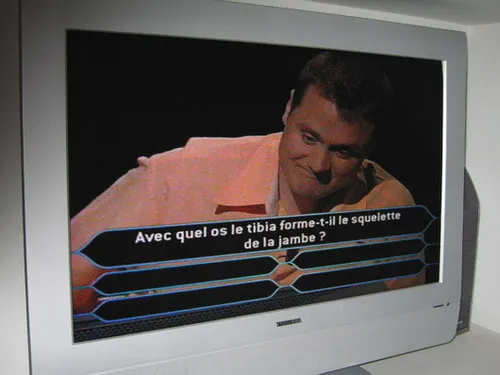 tf1 sans freebox