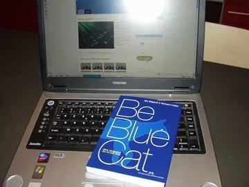 bebluecat