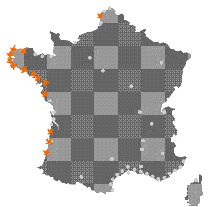 Business case Baston.fr — photo 2
