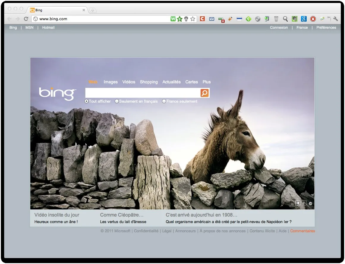 Microsoft devrait il vendre Bing? — photo 1
