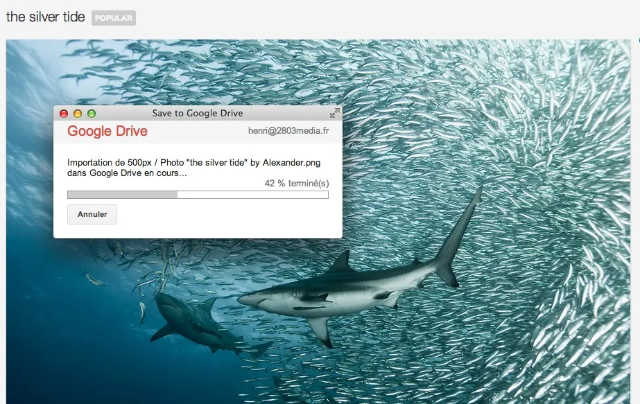 Enregistrer directement dans Google Drive depuis Google Chrome — photo 1