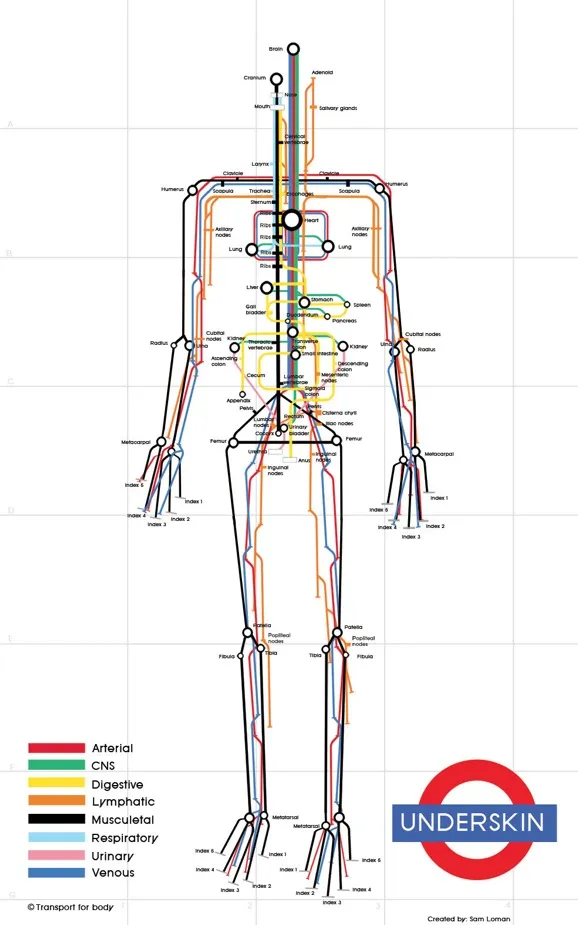 human_subway_map_full_size La représentation sous la forme d'un plan de métro pour simplier des concepts — photo 2
