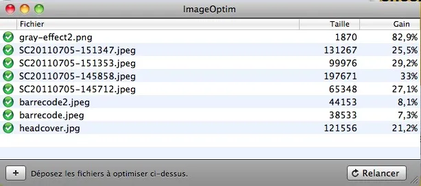 Quelques solutions pour optimiser les images de votre site — photo 1