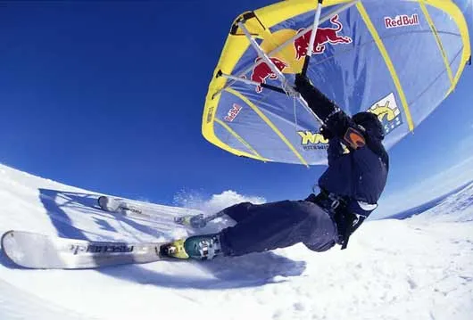 Le kitewing — photo 1