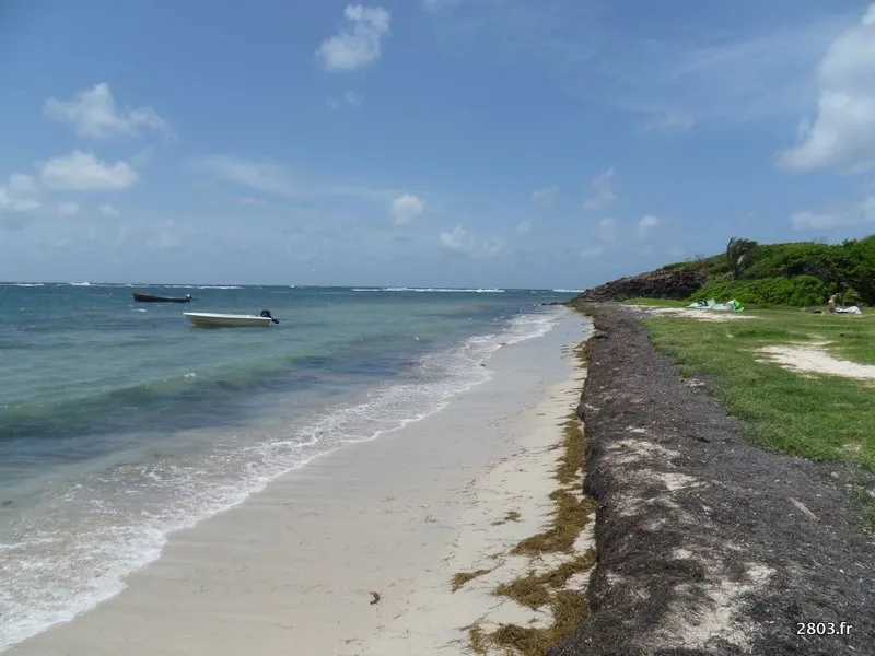 martinique cap chevalier Ajoutez un effet d'apparition fluide sur vos images — photo 4
