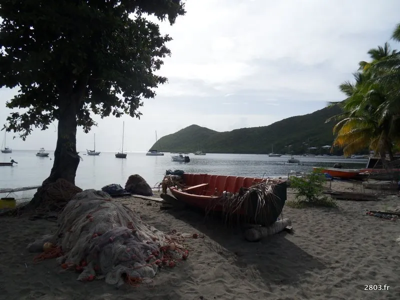martinique grande anse Ajoutez un effet d'apparition fluide sur vos images — photo 7