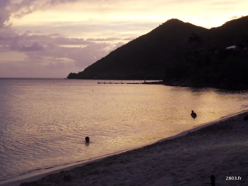 martinique grande anse Ajoutez un effet d'apparition fluide sur vos images — photo 8