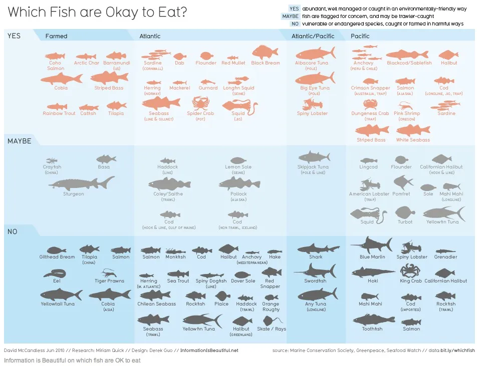Manger des poissons oui mais lesquels? — photo 1