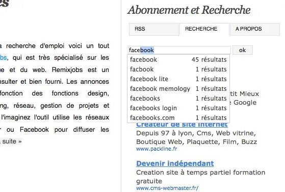 Intégrer des suggestions à votre moteur de recherche de blog — photo 1