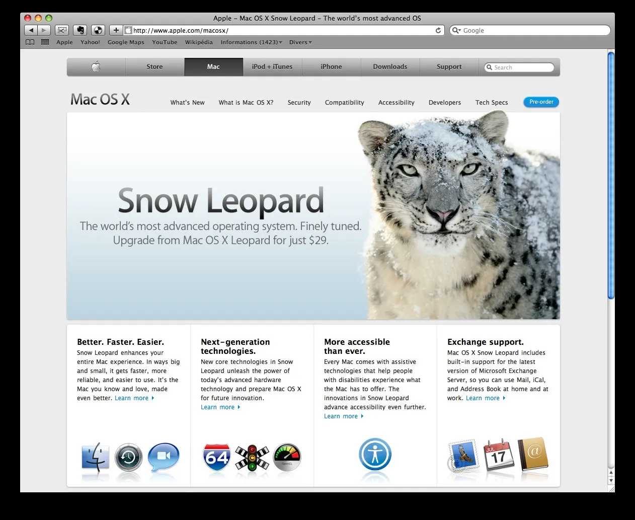 snow-leopard-2