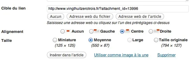 wordpress-insert-image Accédez au menu caché de Wordpress — photo 2