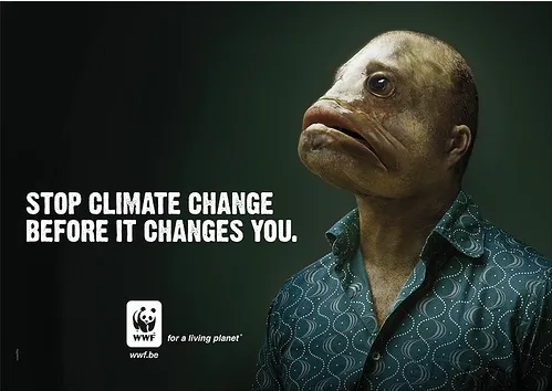 wwf belgique